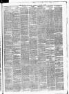 Banner of Ulster Tuesday 08 August 1865 Page 3