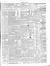Kings County Chronicle Wednesday 03 June 1868 Page 3