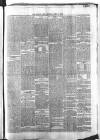 Carlow Post Saturday 16 April 1864 Page 3