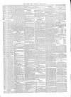 Carlow Post Saturday 17 June 1871 Page 3