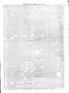Carlow Post Saturday 24 May 1873 Page 3