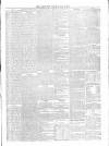 Carlow Post Saturday 31 May 1873 Page 3