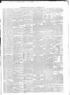 Carlow Post Saturday 08 November 1873 Page 3