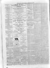 Carlow Post Saturday 10 February 1877 Page 2