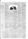 Commercial Journal Saturday 18 October 1856 Page 3