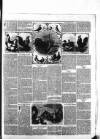 Commercial Journal Saturday 22 January 1859 Page 3