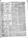 Commercial Journal Saturday 10 November 1866 Page 3