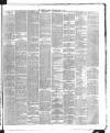 Dublin Daily Express Thursday 22 April 1869 Page 3