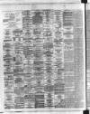 Dublin Daily Express Saturday 13 November 1869 Page 2