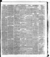 Dublin Daily Express Friday 11 January 1878 Page 7