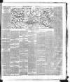 Dublin Daily Express Saturday 12 January 1878 Page 5