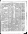 Dublin Daily Express Thursday 31 January 1878 Page 5