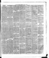 Dublin Daily Express Thursday 31 January 1878 Page 7