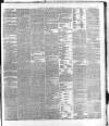 Dublin Daily Express Wednesday 10 April 1878 Page 3