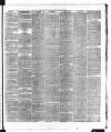 Dublin Daily Express Tuesday 24 September 1878 Page 7