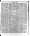 Dublin Daily Express Thursday 31 October 1878 Page 7