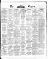 Dublin Daily Express Saturday 02 November 1878 Page 1