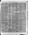 Dublin Daily Express Thursday 14 November 1878 Page 7