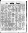 Dublin Daily Express Thursday 12 December 1878 Page 1