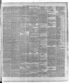 Dublin Daily Express Friday 24 October 1884 Page 7