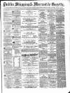 Dublin Shipping and Mercantile Gazette Thursday 16 November 1871 Page 1