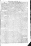 Flag of Ireland Saturday 24 October 1868 Page 5