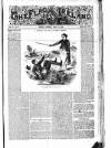 Flag of Ireland Saturday 16 April 1870 Page 1