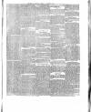 Flag of Ireland Saturday 14 January 1871 Page 3