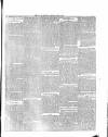 Flag of Ireland Saturday 01 April 1871 Page 3