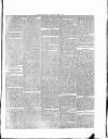 Flag of Ireland Saturday 15 April 1871 Page 3