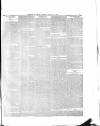 Flag of Ireland Saturday 16 September 1871 Page 3