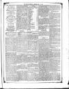 Flag of Ireland Saturday 16 May 1874 Page 5