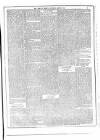 Flag of Ireland Saturday 06 March 1875 Page 3