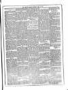 Flag of Ireland Saturday 10 April 1875 Page 5