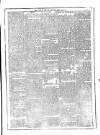 Flag of Ireland Saturday 24 April 1875 Page 3