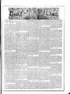 Flag of Ireland Saturday 22 May 1875 Page 1