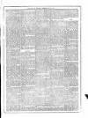 Flag of Ireland Saturday 22 May 1875 Page 3