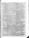 Flag of Ireland Saturday 14 August 1875 Page 5