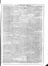 Flag of Ireland Saturday 06 November 1875 Page 5