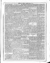 Flag of Ireland Saturday 11 March 1876 Page 3
