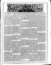 Flag of Ireland Saturday 01 April 1876 Page 1