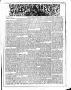 Flag of Ireland Saturday 15 April 1876 Page 1