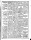 Flag of Ireland Saturday 03 June 1876 Page 5