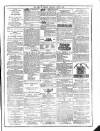 Flag of Ireland Saturday 03 June 1876 Page 7