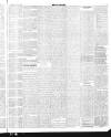 Flag of Ireland Saturday 21 March 1891 Page 5