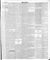 Flag of Ireland Saturday 23 February 1895 Page 5