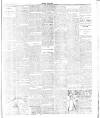 Flag of Ireland Saturday 04 April 1896 Page 3