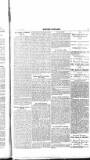 Flag of Ireland Saturday 20 March 1897 Page 5