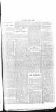 Flag of Ireland Saturday 07 August 1897 Page 3