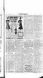 Flag of Ireland Saturday 21 August 1897 Page 15